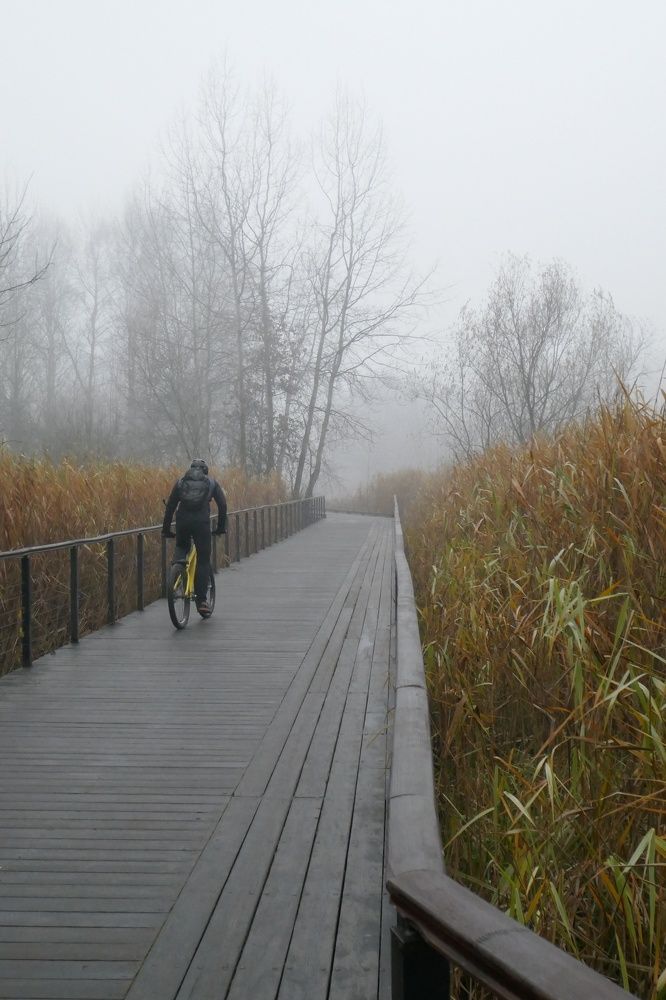 Photo #6765265