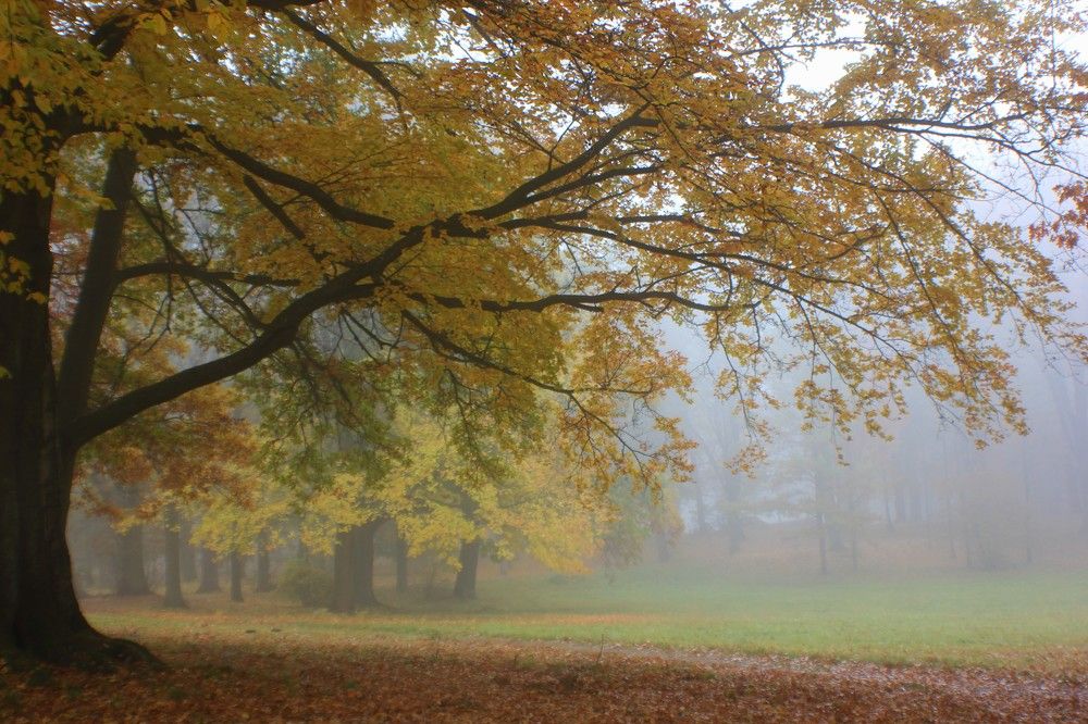 Photograph by Lena Feldman