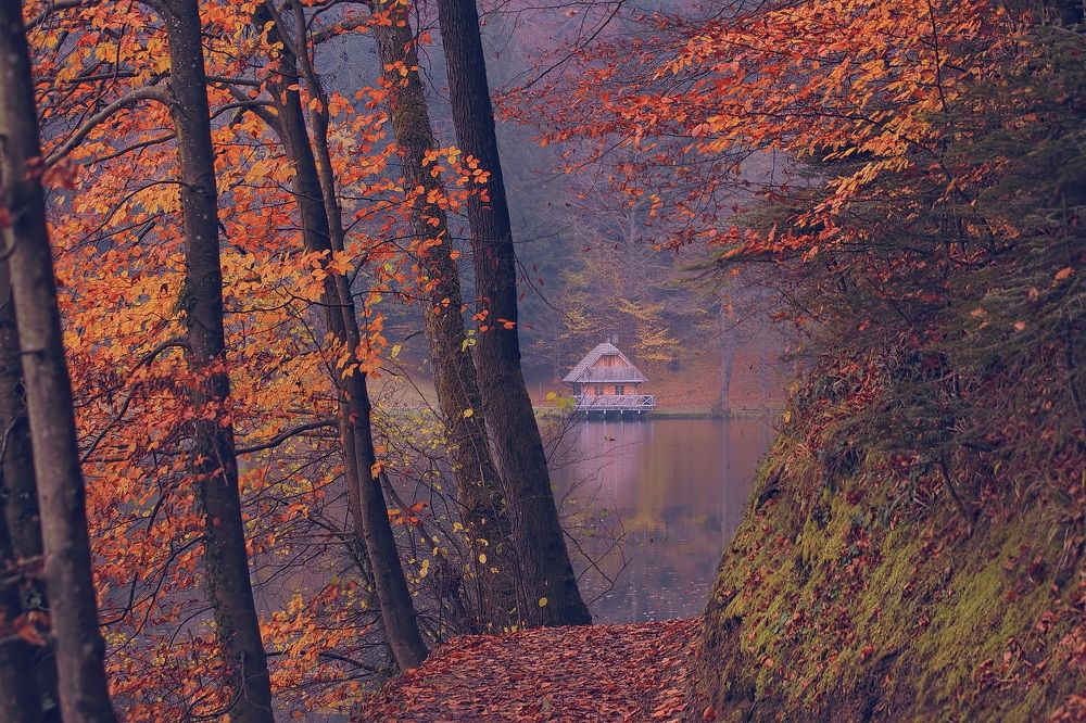 Photograph by Irena Luna