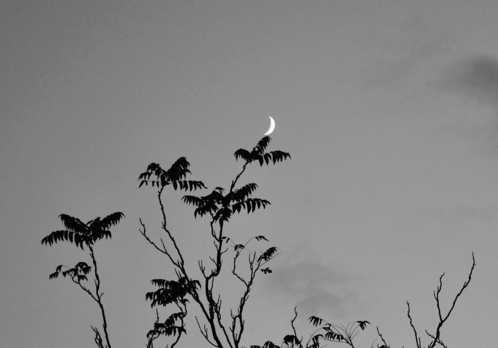 Спящая Луна