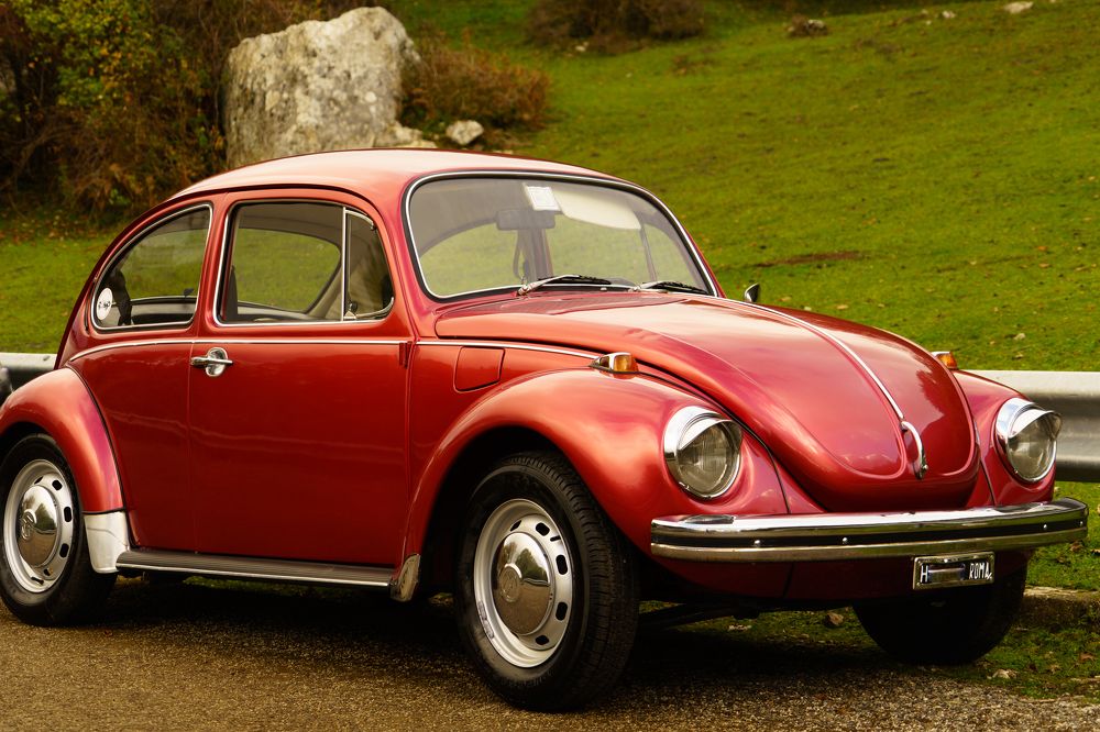 Фотография автора Нина Кулишова