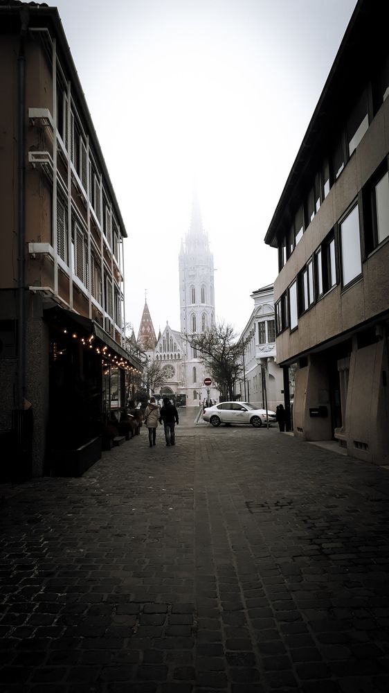 Photograph by Дарья Вега