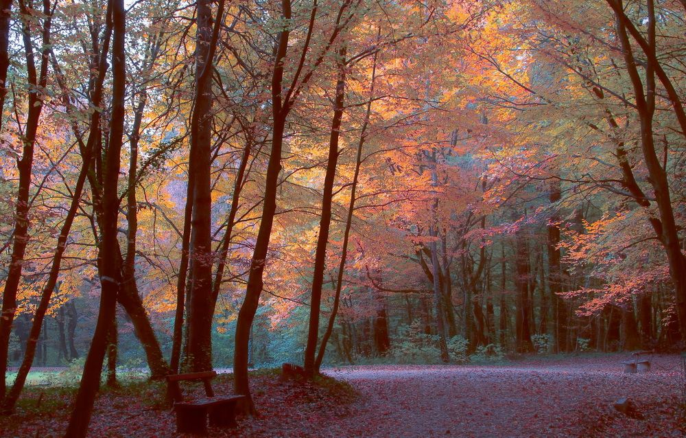 Photograph by Irena Luna