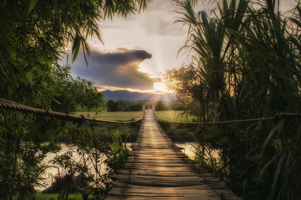 Photograph by Aldair Peñaranda Arenas