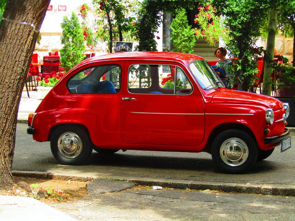 Photograph by Darko Milojevic