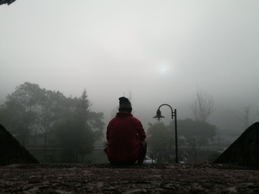 Photo #6765604