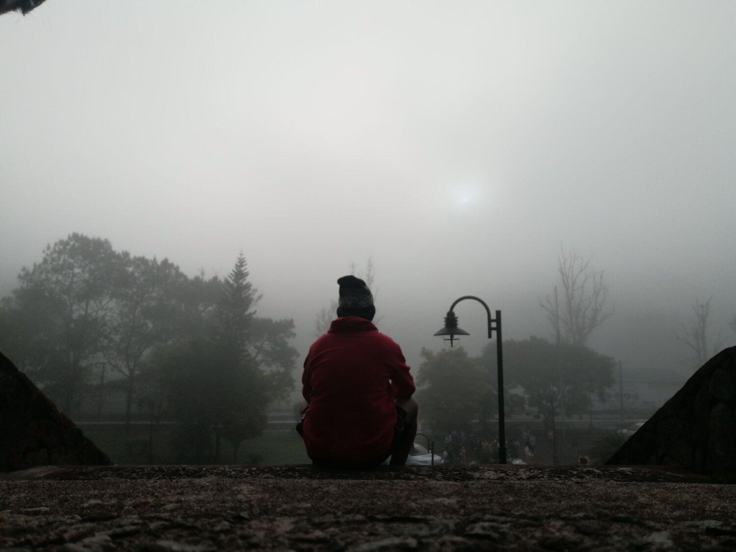 Photo #6765604