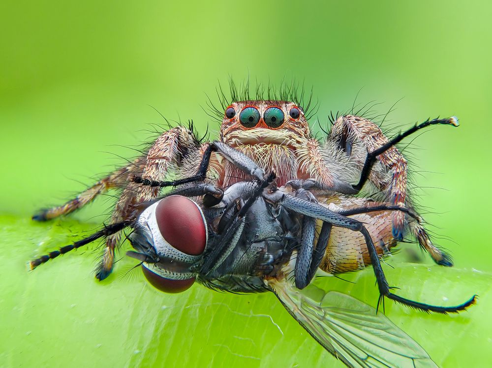 Photograph by Trung Nguyễn