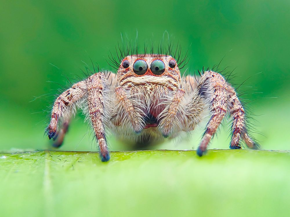 Photograph by Trung Nguyễn