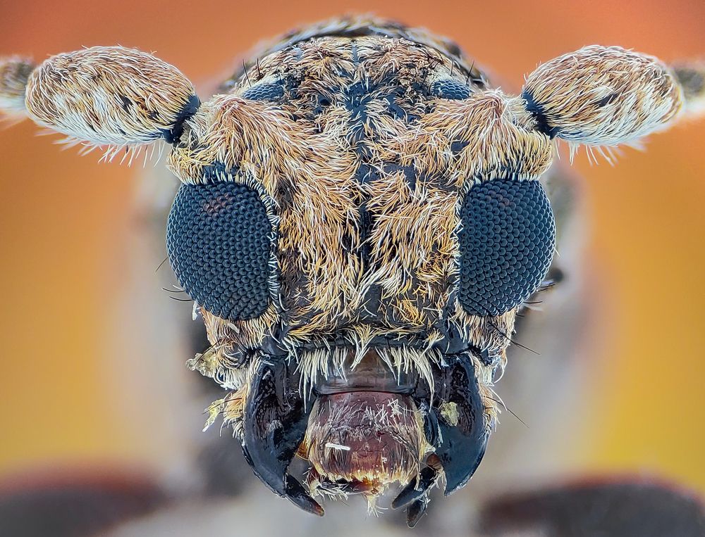 Photograph by Trung Nguyễn