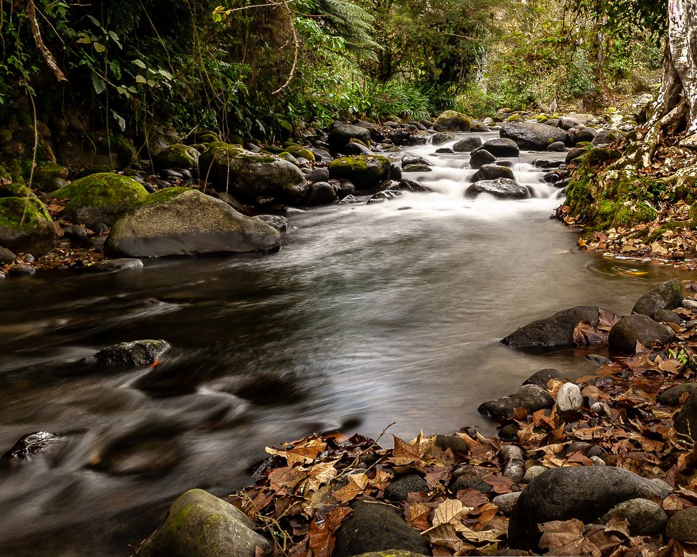 Photograph by Armando Lopez-Guerrero