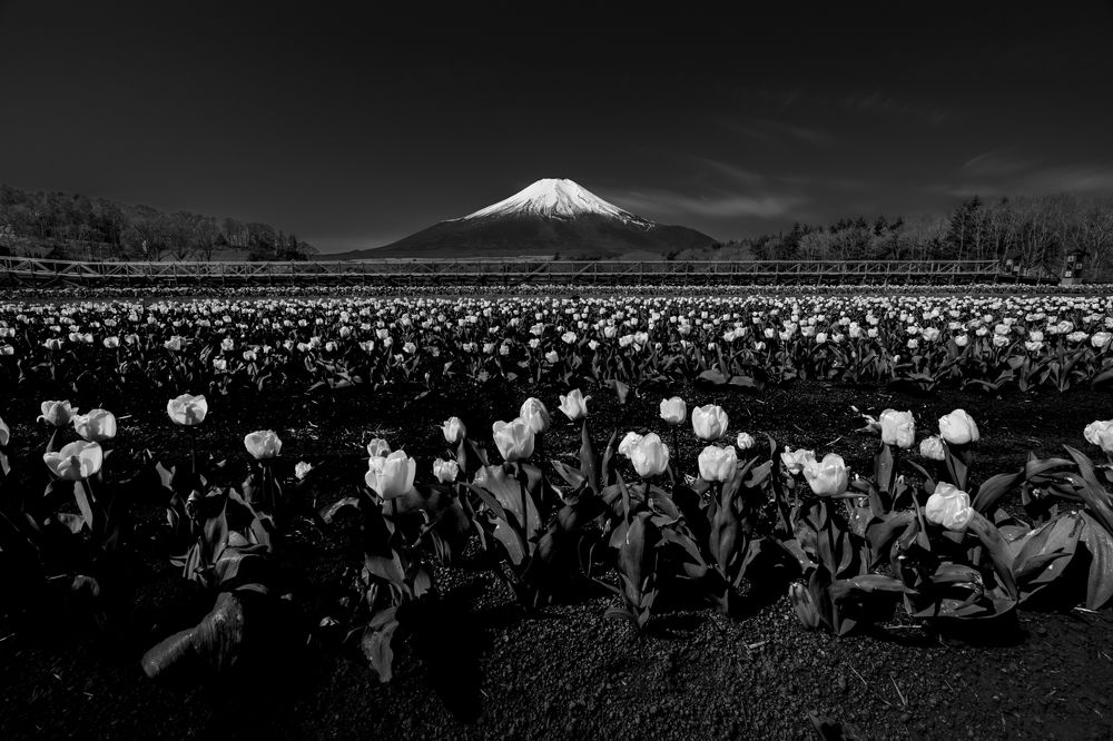 Фотография автора Takashi