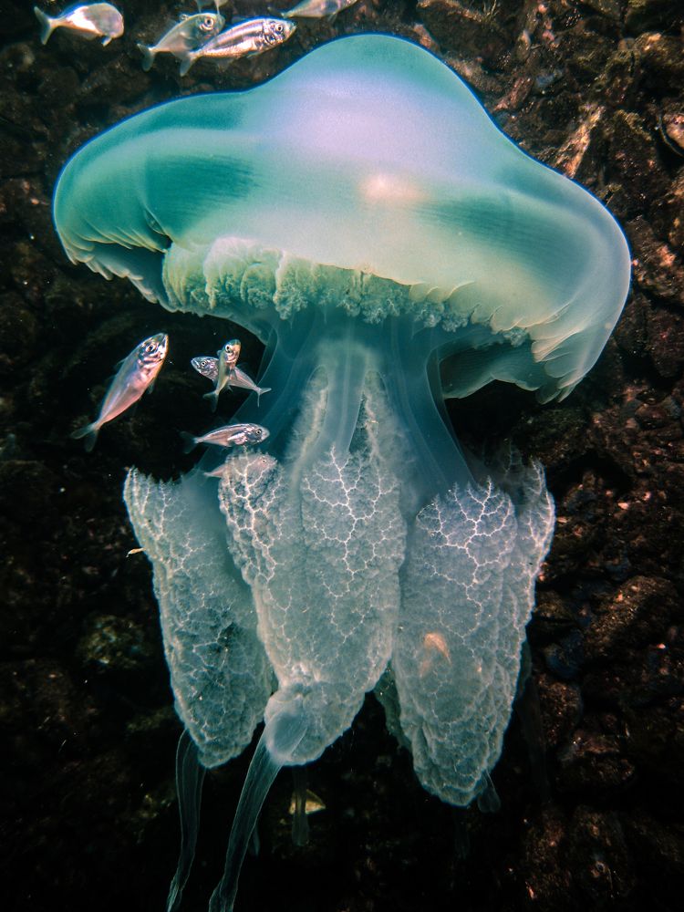 Photograph by Константин Осипов