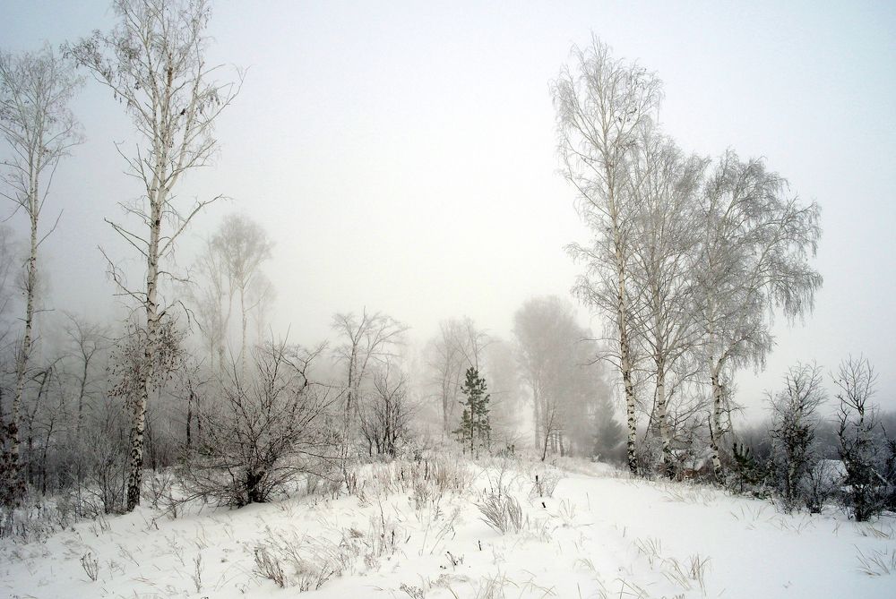 Зимнее туманное утро