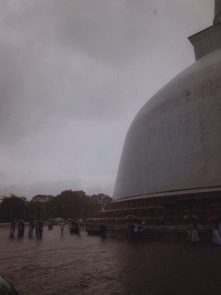 Photo #6765914