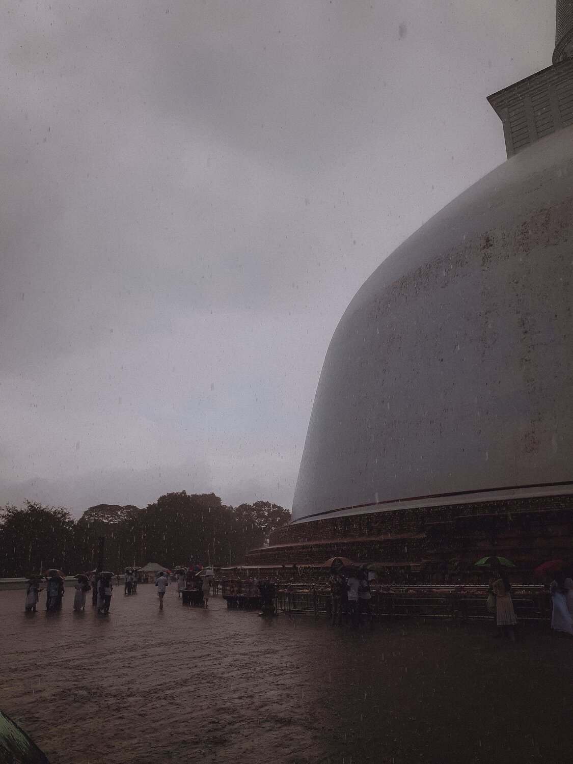 Photo #6765914