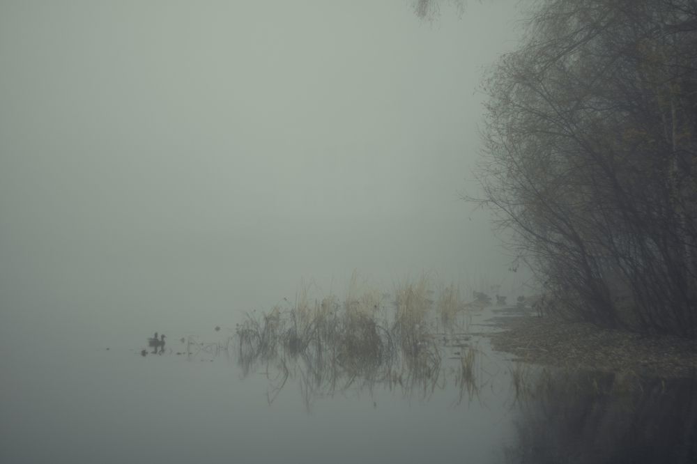 Фотография автора Тея Столицына