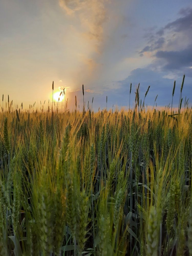 Photograph by Элина