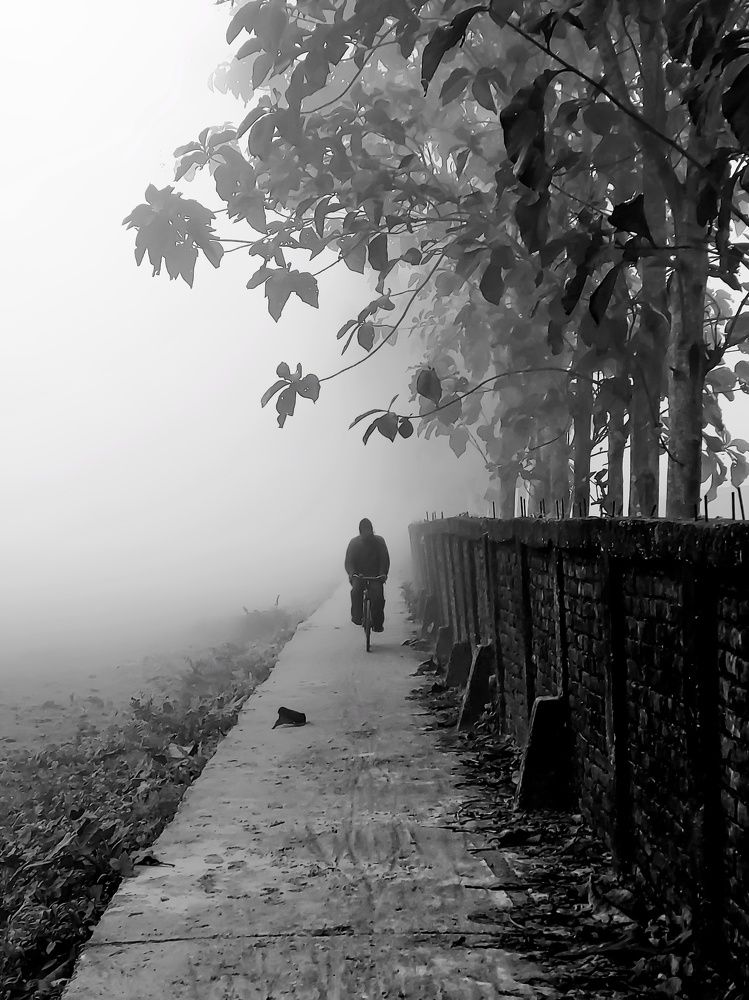 Foggy Morning .