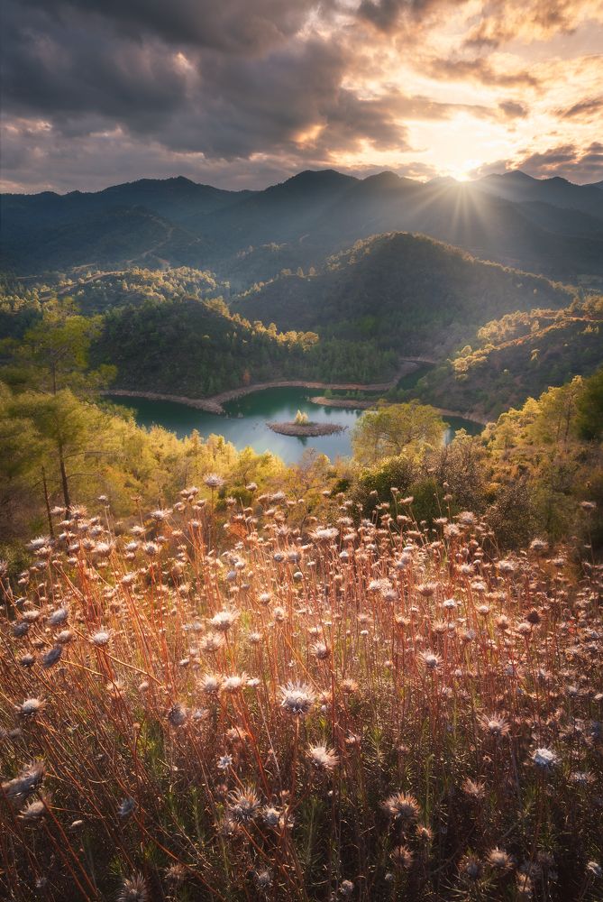 Photograph by Evgeni Fabis