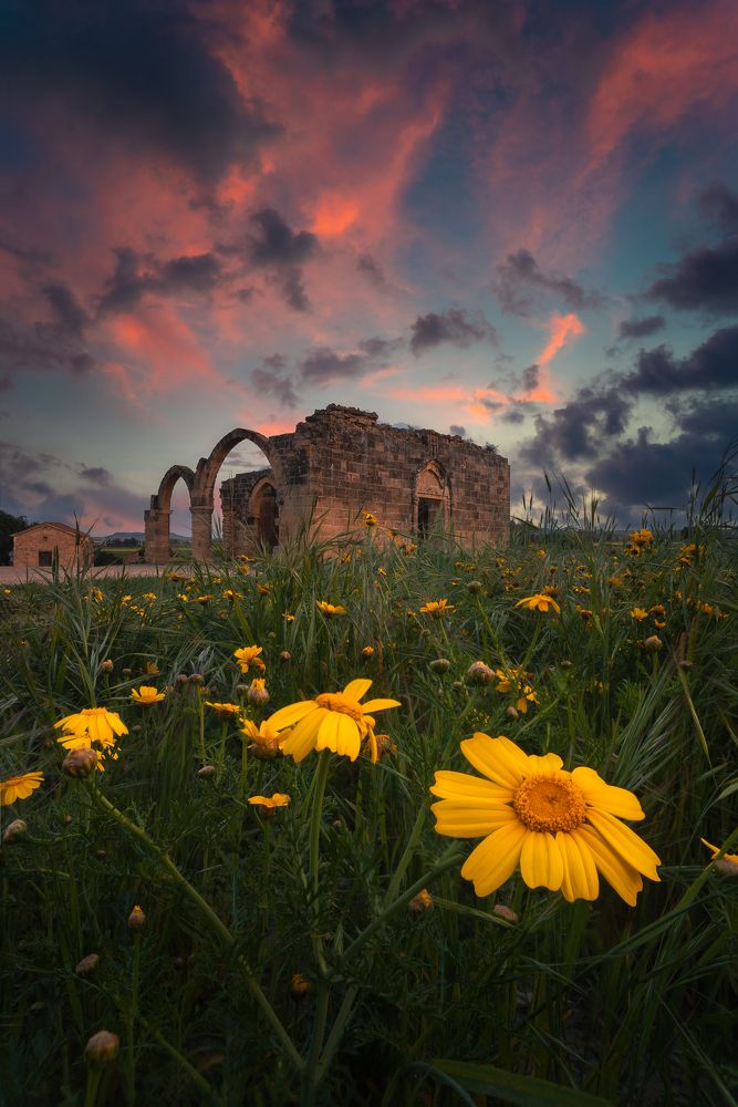 Photograph by Evgeni Fabis