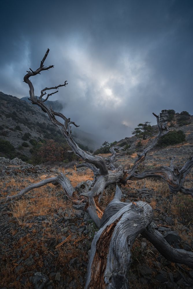 Photograph by Evgeni Fabis