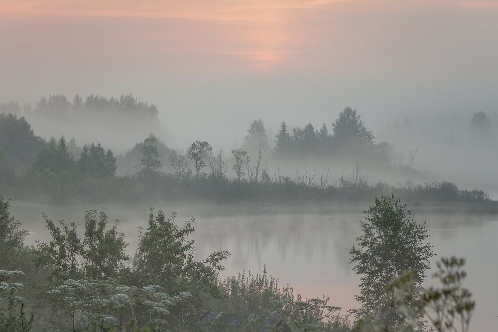 Photograph by Елена Гусева