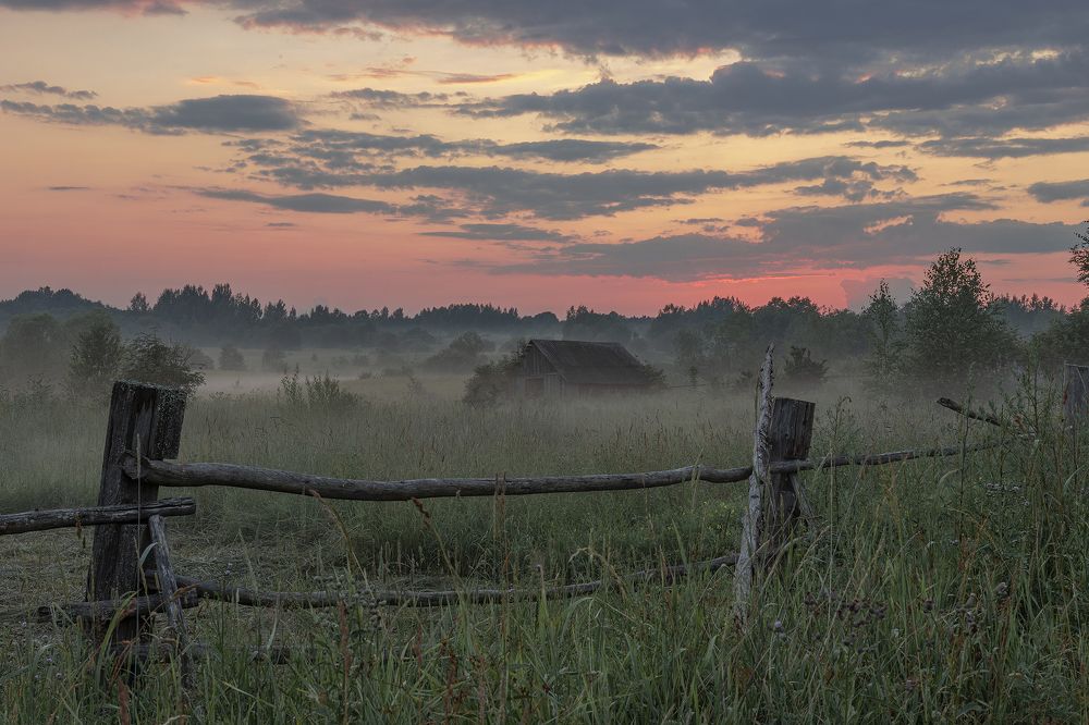 Photograph by Елена Гусева