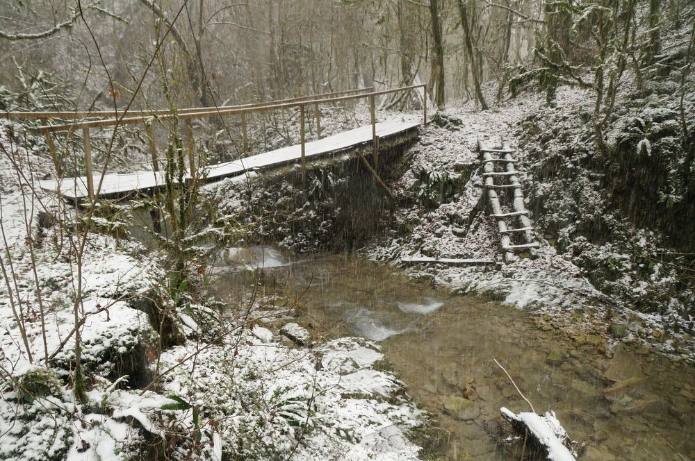 Photograph by Юрий Сычев