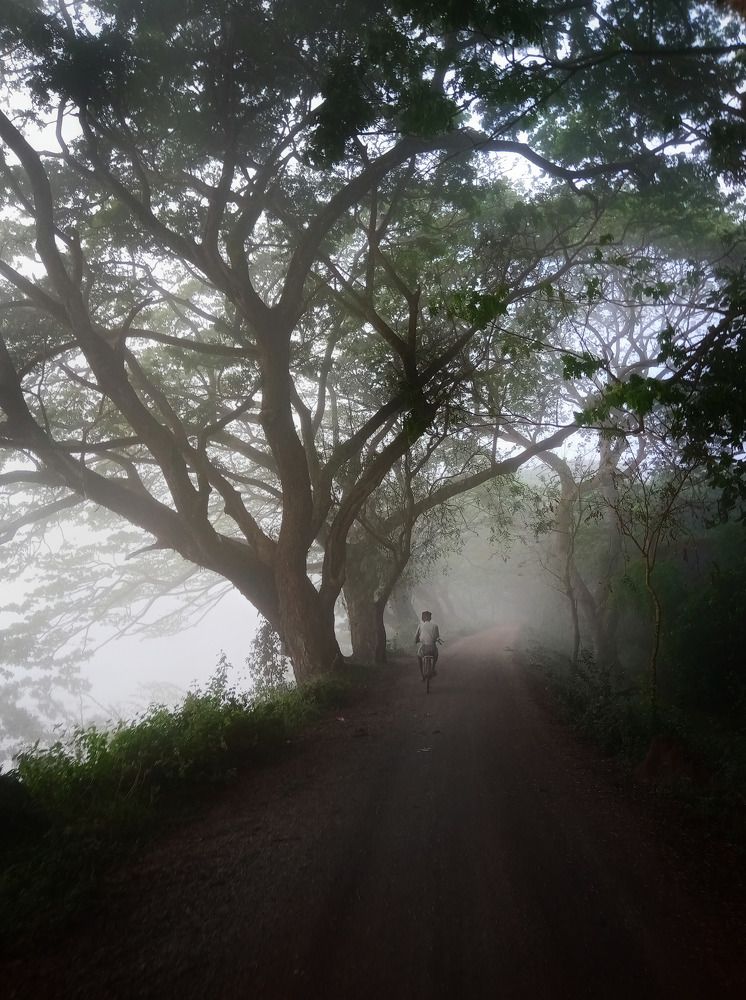 Photograph by Anuradha s Herath