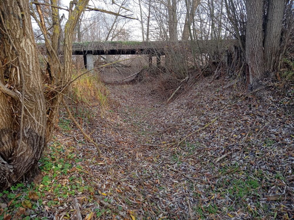 Photo #6766353