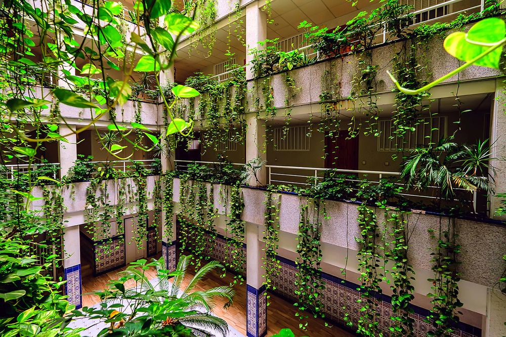 Photograph by Алексей Строганов