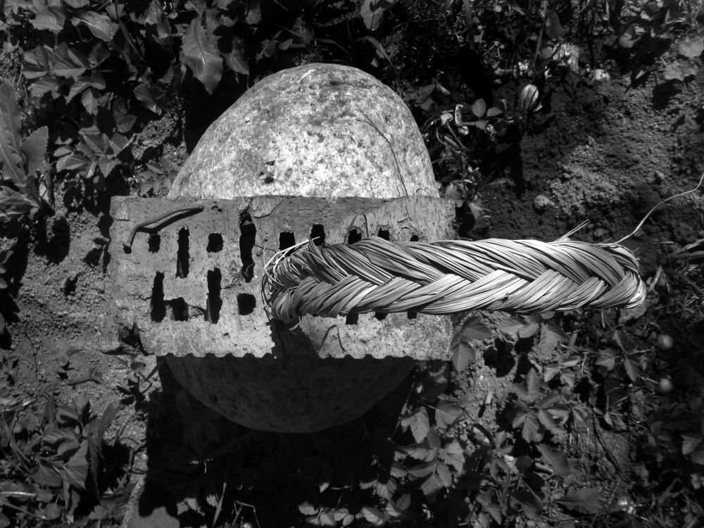 Photo #6766490