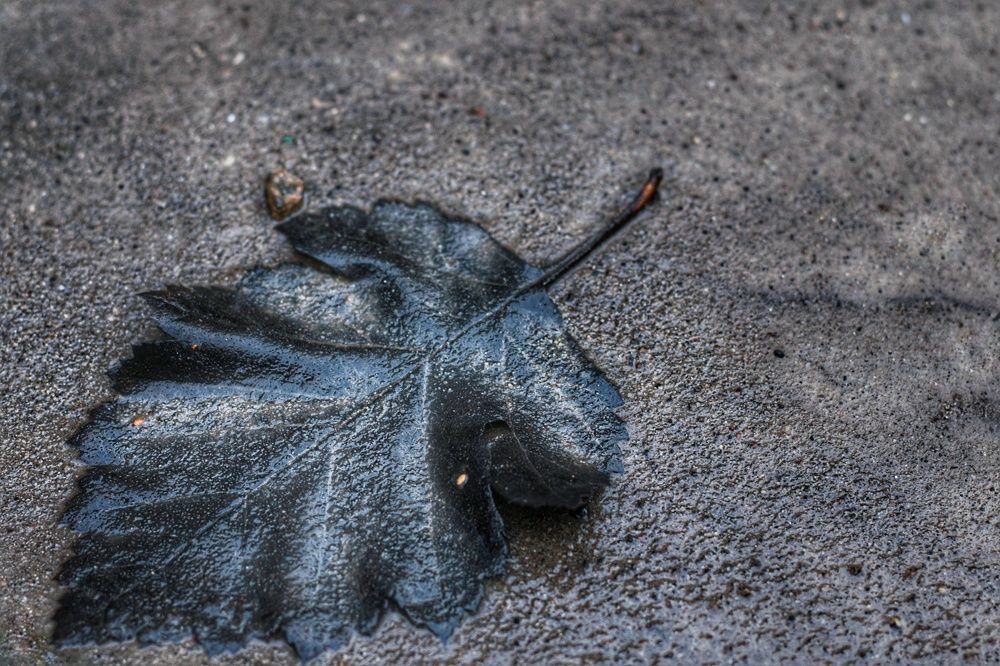 Печать осени