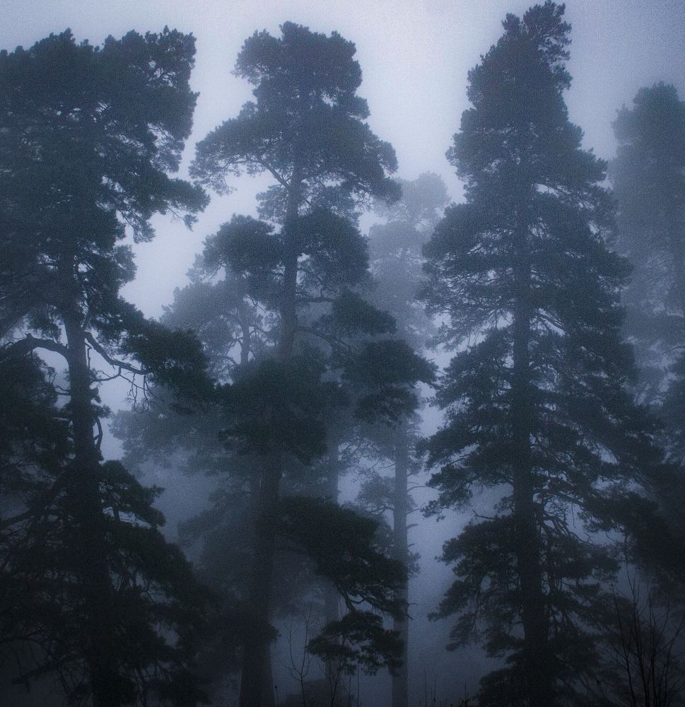 Фотография автора sose