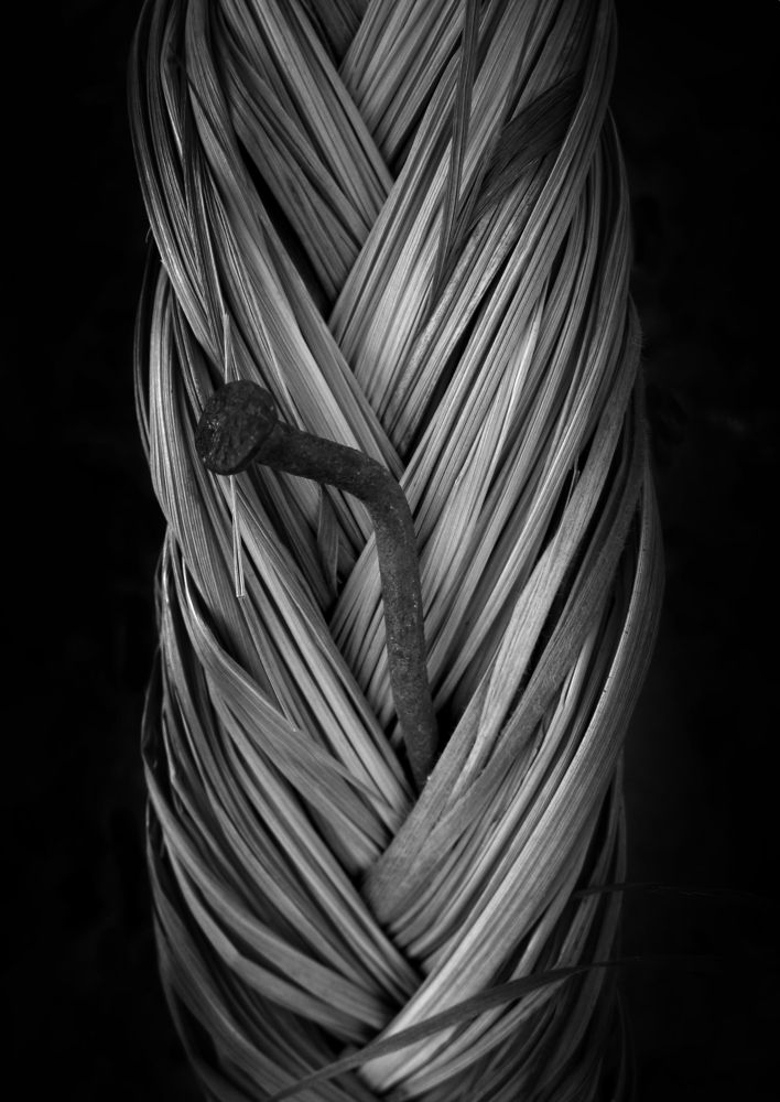 Photo #6766568