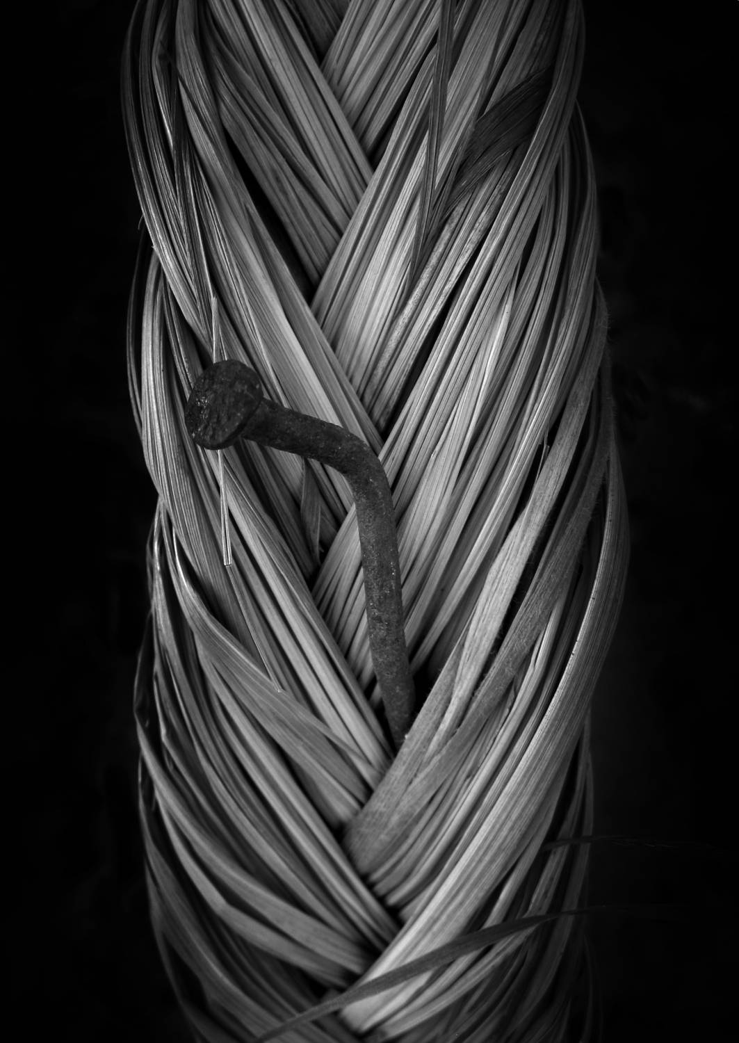 Photo #6766568