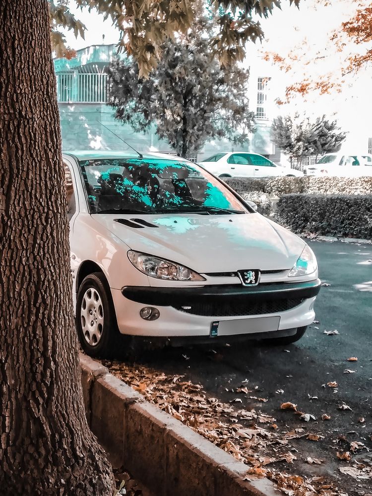 Photograph by Mohammad Amin Karimi