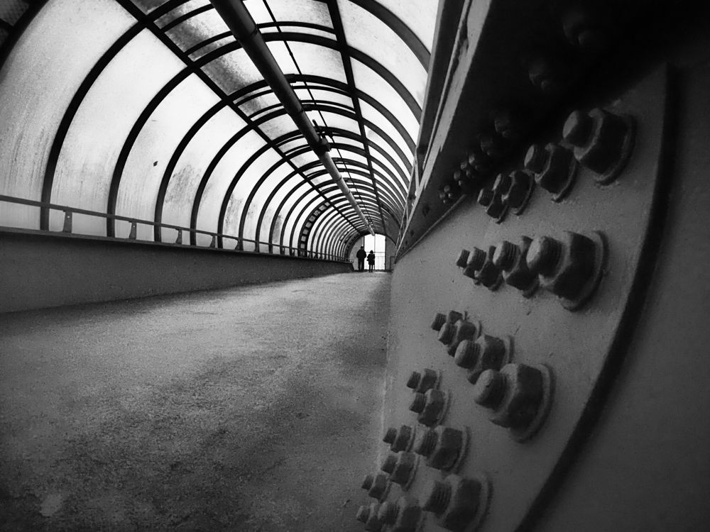 Photograph by Дмитрий Потапов