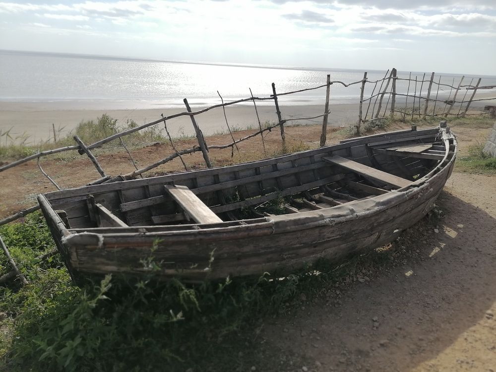 Photo #6766666