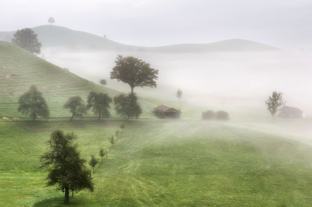 Photograph by Галина Хвостенко