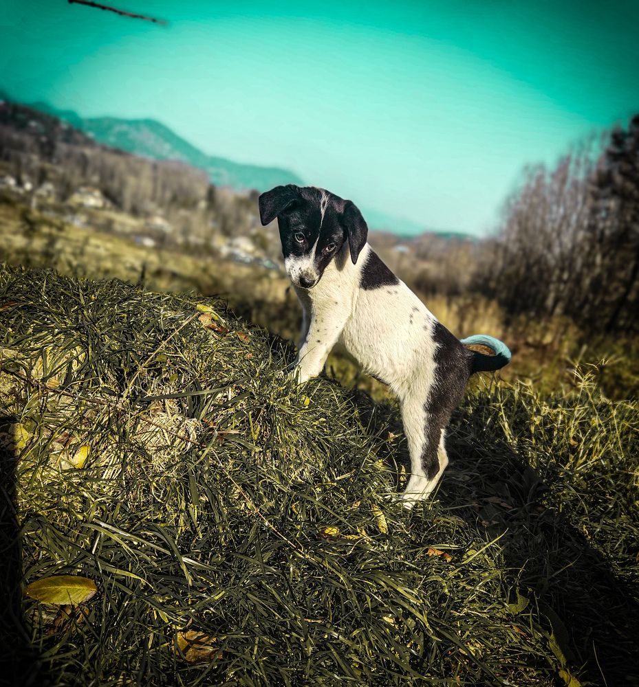 Photo #6766757