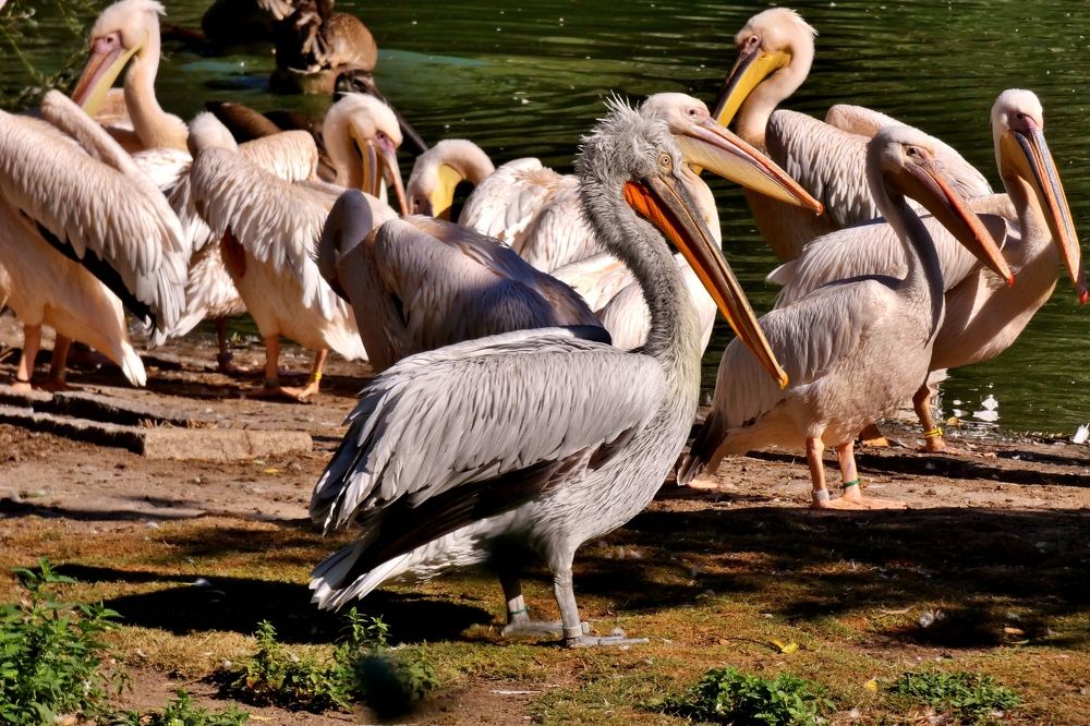 Photograph by backareva irina