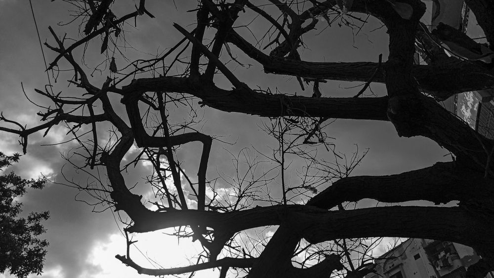 Photo #6766846