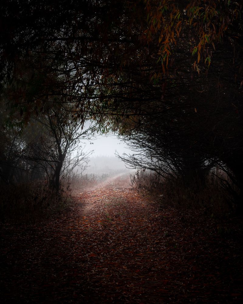 Photograph by Ольга