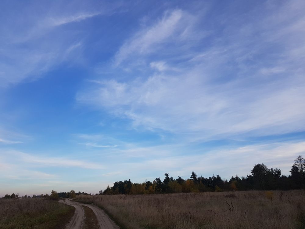 Photograph by Ліана Устимчук