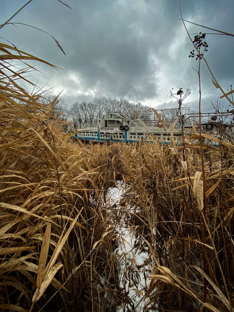 Photograph by Александр Вьюшков