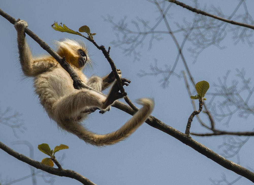 Photograph by Saurav Jha
