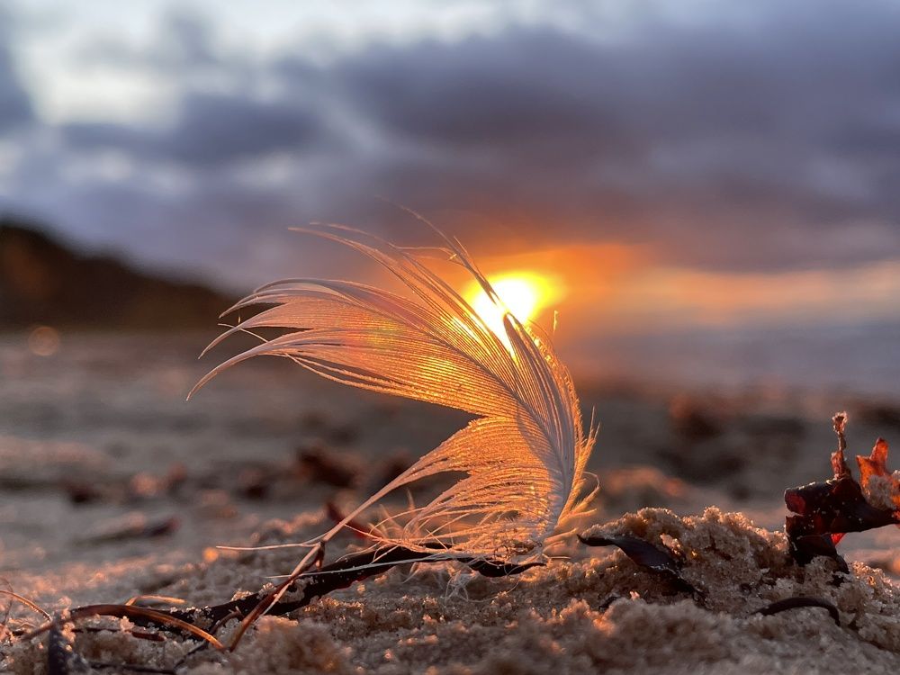 Photograph by Karina Stavicka