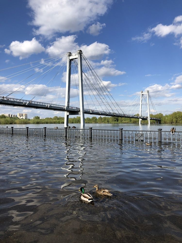 Photograph by Татьяна Ноздрина